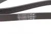 Ремінь генератора VW Golf 1.6FSI 02-06/BMW 3 (E46)/5 (E39/E60) 2.0-3.0 97-10/Ford Focus/Kuga 1.5 14- CONTINENTAL Contitech 6PK1538 (фото 3)
