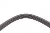 Ремінь генератора VW Golf 1.6FSI 02-06/BMW 3 (E46)/5 (E39/E60) 2.0-3.0 97-10/Ford Focus/Kuga 1.5 14- CONTINENTAL Contitech 6PK1538 (фото 4)