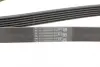 Ремень привода навесного оборудования Contitech 6PK1555 (фото 3)