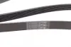 Ремінь генератора Citroen Berlingo 1.6 00-08/ Nemo 1.4i 08- CONTINENTAL Contitech 6PK1560 (фото 3)