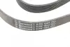 Ремінь Contitech 6PK1564 (фото 3)