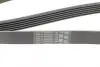 Ремінь Contitech 6PK1564 (фото 4)