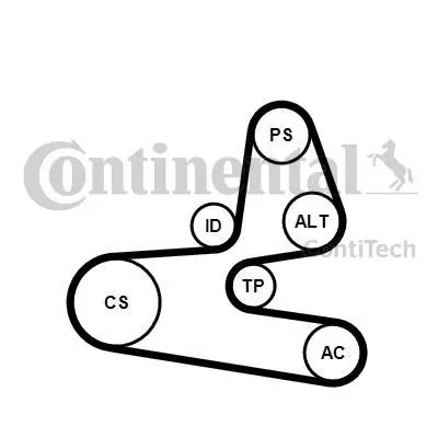 Комплект (ремінь+ролики) CONTINENTAL Contitech 6PK1564K1 (фото 1)