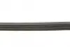 Ремінь генератора Audi A4/A6 1.6-2.0 00-08 CONTINENTAL Contitech 6PK1570 (фото 2)