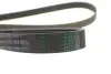 Ремінь генератора Audi A4/A6 1.6-2.0 00-08 CONTINENTAL Contitech 6PK1570 (фото 3)