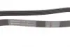 Ремінь генератора Opel Astra 1.7CDTi 03-/Renault Megane/Laguna 1.9-3.0 97-03/BMW 1 (E81/E87) 04-11 CONTINENTAL Contitech 6PK1605 (фото 2)