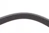 Ремінь генератора Opel Astra 1.7CDTi 03-/Renault Megane/Laguna 1.9-3.0 97-03/BMW 1 (E81/E87) 04-11 CONTINENTAL Contitech 6PK1605 (фото 3)