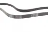 Ремінь генератора VW Crafter 2.0TDI 11-16/Opel Corsa D 1.7CDTI 06-11/Ford Fiesta 1.8DI 00-03 CONTINENTAL Contitech 6PK1613 (фото 2)
