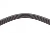 Ремінь генератора VW Crafter 2.0TDI 11-16/Opel Corsa D 1.7CDTI 06-11/Ford Fiesta 1.8DI 00-03 CONTINENTAL Contitech 6PK1613 (фото 3)