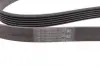 Ремінь генератора Opel Astra 1.7CDTI 04-10/ Subaru Tribeca 3.0-3.6 05-/ VW Passat 3.2 05-10 CONTINENTAL Contitech 6PK1623 (фото 2)