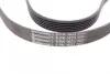 Ремінь генератора Opel Astra 1.7CDTI 04-10/ Subaru Tribeca 3.0-3.6 05-/ VW Passat 3.2 05-10 CONTINENTAL Contitech 6PK1623 (фото 3)