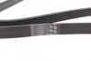 Ремінь генератора VW LT 2.8TDI 97-06/Ford Transit 2.2TDCi 11-14/Citroen Jumper 2.2HDi 11- CONTINENTAL Contitech 6PK1642 (фото 2)
