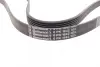 Ремінь генератора VW LT 2.8TDI 97-06/Ford Transit 2.2TDCi 11-14/Citroen Jumper 2.2HDi 11- CONTINENTAL Contitech 6PK1642 (фото 3)
