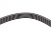 Ремінь генератора VW LT 2.8TDI 97-06/Ford Transit 2.2TDCi 11-14/Citroen Jumper 2.2HDi 11- CONTINENTAL Contitech 6PK1642 (фото 4)