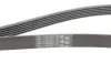 Ремень привода навесного оборудования Contitech 6PK1660 (фото 3)