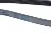 Ремінь Contitech 6PK1675 (фото 3)