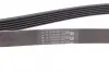 Ремінь генератора Skoda Fabia/VW Passat B6/B7 09-14/Citroen Berlingo/Peugeot 98-/BMW/Chevrolet 11- CONTINENTAL Contitech 6PK1698 (фото 2)