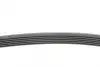 Ремінь генератора Citroen Jumper 1.9TD 94-02 (ALT,PS,AC) CONTINENTAL Contitech 6PK1705 (фото 2)