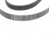 Ремінь генератора Citroen Jumper 1.9TD 94-02 (ALT,PS,AC) CONTINENTAL Contitech 6PK1705 (фото 3)