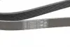 Ремінь генератора Citroen Jumper 1.9TD 94-02 (ALT,PS,AC) CONTINENTAL Contitech 6PK1705 (фото 4)