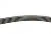 Ремінь генератора Opel Astra J/Corsa D 1.7CDTI 09-15/Ford Focus 1.8TDCi 98-04 CONTINENTAL Contitech 6PK1715 (фото 2)