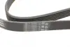 Ремінь генератора Opel Astra J/Corsa D 1.7CDTI 09-15/Ford Focus 1.8TDCi 98-04 CONTINENTAL Contitech 6PK1715 (фото 3)