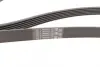 Ремінь генератора VW Golf IV/Passat 1.4/1.6FSI 03-16/Toyota Auris/Avensis 1.4-1.8 03-12 CONTINENTAL Contitech 6PK1733 (фото 2)
