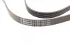 Ремінь генератора VW Golf IV/Passat 1.4/1.6FSI 03-16/Toyota Auris/Avensis 1.4-1.8 03-12 CONTINENTAL Contitech 6PK1733 (фото 3)