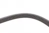 Ремінь генератора VW Golf IV/Passat 1.4/1.6FSI 03-16/Toyota Auris/Avensis 1.4-1.8 03-12 CONTINENTAL Contitech 6PK1733 (фото 4)