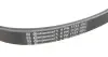 Комплект (ремінь+ролики))) CONTINENTAL Contitech 6PK1733K3 (фото 3)