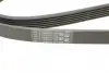 Ремень привода навесного оборудования Contitech 6PK1740 (фото 4)