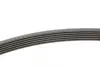 Ремінь генератора Peugeot 206/306/4007/406/4007/Citroen C5 1.9TD/2.0/2.2HDI 96-/Ford Galaxy 2.2 08- CONTINENTAL Contitech 6PK1743 (фото 2)