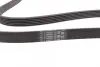 Ремінь генератора Renault Clio/Laguna/Megane 1.4/1.6 97-05/Ford Fiesta 1.25/1.4 95-02 CONTINENTAL Contitech 6PK1750 (фото 2)