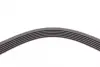 Ремінь генератора Renault Clio/Laguna/Megane 1.4/1.6 97-05/Ford Fiesta 1.25/1.4 95-02 CONTINENTAL Contitech 6PK1750 (фото 4)