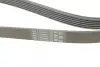 Ремінь генератора VW T4 2.4D/2.5TDI 90-03/Ford Fiesta 1.25-1.6 95-02 CONTINENTAL Contitech 6PK1767 (фото 3)