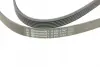 Ремінь генератора VW T4 2.4D/2.5TDI 90-03/Ford Fiesta 1.25-1.6 95-02 CONTINENTAL Contitech 6PK1767 (фото 4)