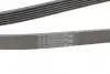 Ремінь генератора Opel Combo/Astra/Vectra/Omega 1.2-2.2 91-03/BMW 1 (E81/E87) 2.0D 04-11 CONTINENTAL Contitech 6PK1800 (фото 3)