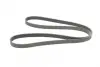 Ремінь генератора Opel Combo/Astra/Vectra/Omega 1.2-2.2 91-03/BMW 1 (E81/E87) 2.0D 04-11 CONTINENTAL Contitech 6PK1800 (фото 5)