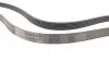 Ремінь генератора Toyota Corolla 1.4/1.6 99-02/Ford Mondeo 2.5 96-00/Renault Laguna 1.6 07-15 CONTINENTAL Contitech 6PK1820 (фото 2)