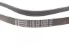 Ремінь Contitech 6PK1847EXTRA (фото 2)