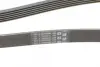 Ремінь генератора Toyota Corolla 1.6/1.8 04-09/BMW 3 (E46/E90)/X1 (E84) 1.6/2.0 01-15 CONTINENTAL Contitech 6PK1870 (фото 3)