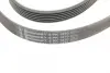 Ремінь генератора Toyota Corolla 1.6/1.8 04-09/BMW 3 (E46/E90)/X1 (E84) 1.6/2.0 01-15 CONTINENTAL Contitech 6PK1870 (фото 4)