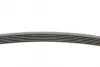 Ремінь генератора VW T4 2.0i 91-03/Opel Vectra 2.2 98-05/Toyota Avensis 1.6/1.8 00-03 CONTINENTAL Contitech 6PK1900 (фото 2)