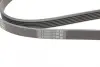 Ремінь генератора VW T4 2.0i 91-03/Opel Vectra 2.2 98-05/Toyota Avensis 1.6/1.8 00-03 CONTINENTAL Contitech 6PK1900 (фото 3)