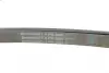 Ремінь генератора VW Crafter 2.5TDI 06-13/MB C-class (W204)/E-class (W212) 2.2CDI 09-15 CONTINENTAL Contitech 6PK2000 (фото 4)