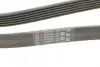 Ремінь Contitech 6PK2013 (фото 3)