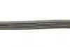 Ремінь генератора MB C-class 2.0 00-02 (M111) CONTINENTAL Contitech 6PK2035 (фото 2)