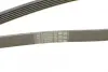Ремінь генератора MB C-class 2.0 00-02 (M111) CONTINENTAL Contitech 6PK2035 (фото 4)