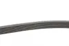 Ремінь генератора MB C-class (W202) 93-01/E-class (W124) 93-98/Ssangyong Korando 96-06/Dodge 06- CONTINENTAL Contitech 6PK2040 (фото 2)
