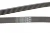 Ремінь генератора MB C-class (W202) 93-01/E-class (W124) 93-98/Ssangyong Korando 96-06/Dodge 06- CONTINENTAL Contitech 6PK2040 (фото 3)